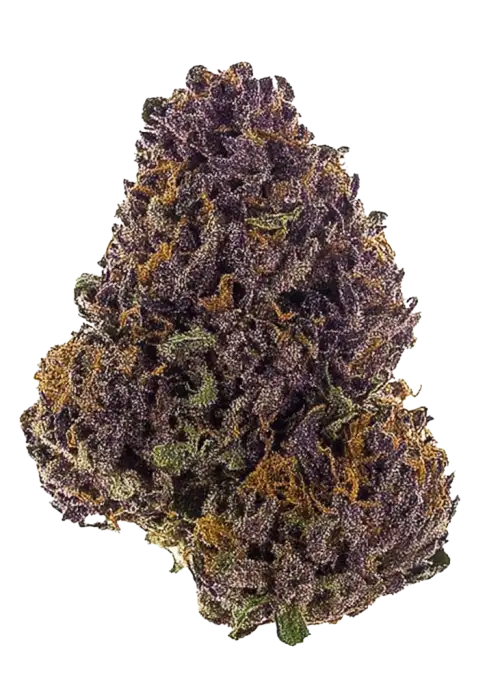Purple Hash Berries