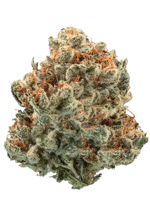 3614-tangie-wave_700.png