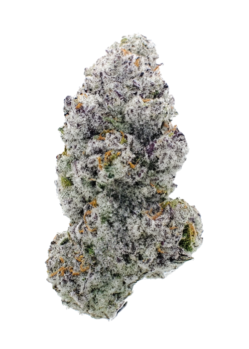 Lucid Vision