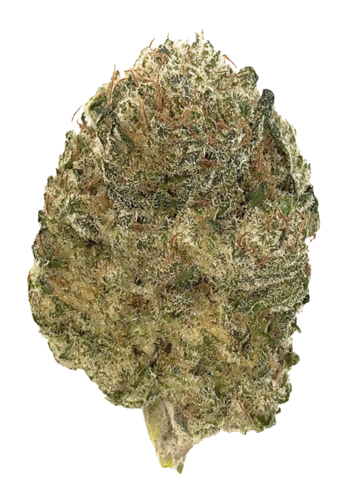 Citrus Cheese