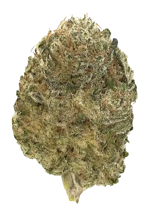 Citrus Cheese