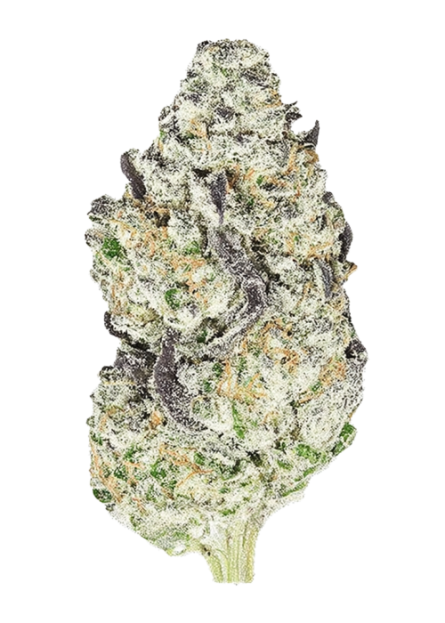 Grapeful Dead