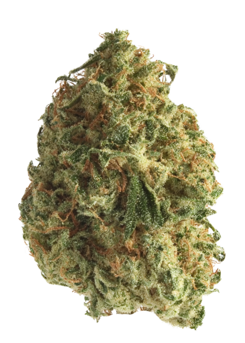 Hulk Dawg