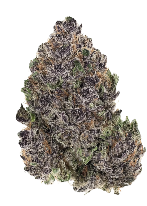 Juicy Dreams