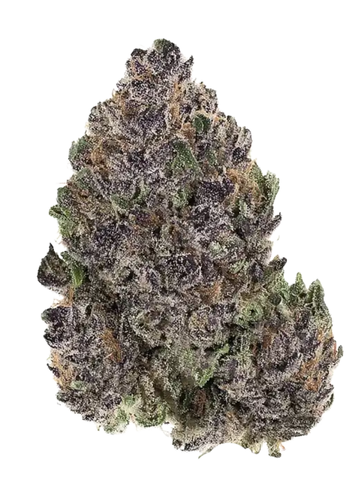 Juicy Dreams