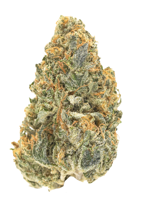 Peach Perfection