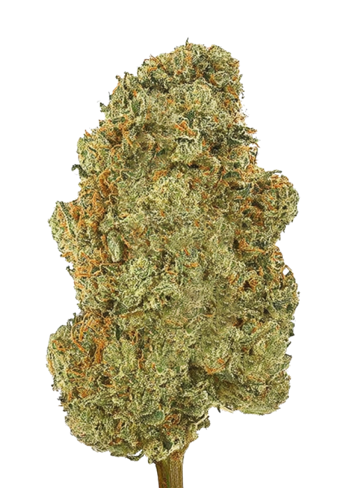 Tangie x (Strawberry Banana x Tangie) Cannabis Strain Inf