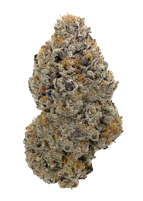 Truffle Queen x (Guava Dawg x Banana Sherbet)