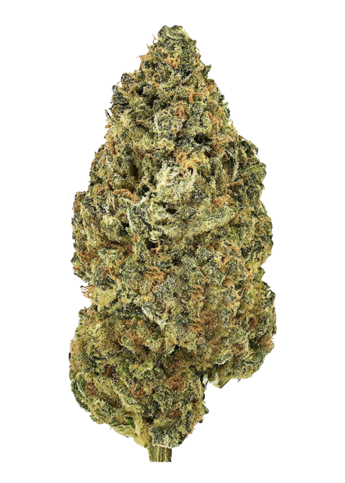 Woah x (Strawberry Banana x Tangie)