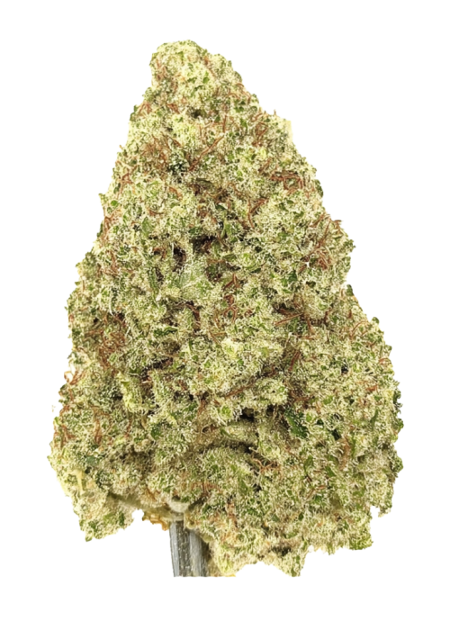 Chocolate Truffle Shuffle