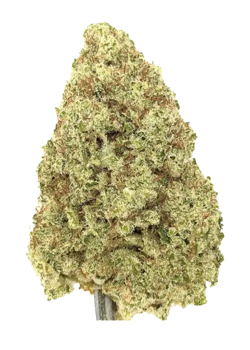 Chocolate Truffle Shuffle