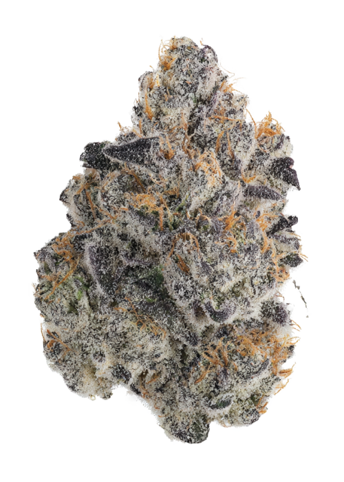 Lemon Jedi