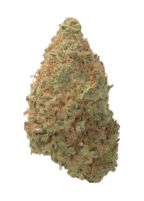 Shiva Skunk