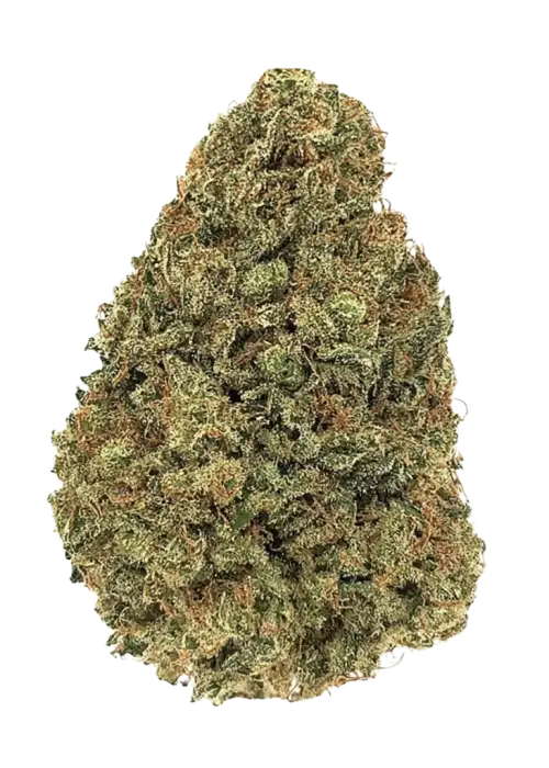 CBD Charlotte's Angel