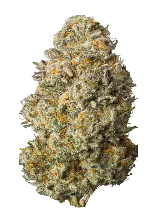 Lem OG
