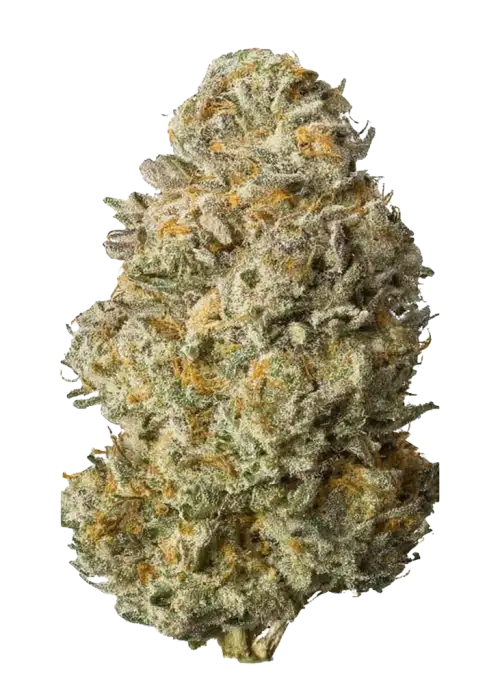 Lem OG