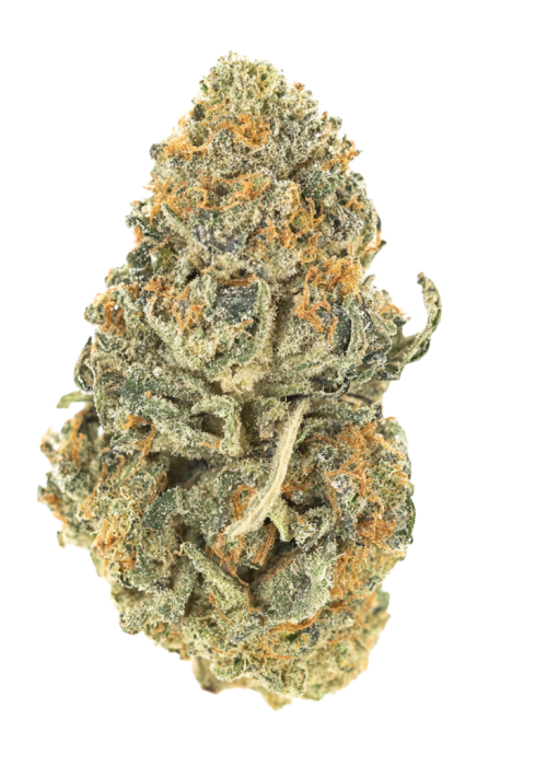 Yellow Melon