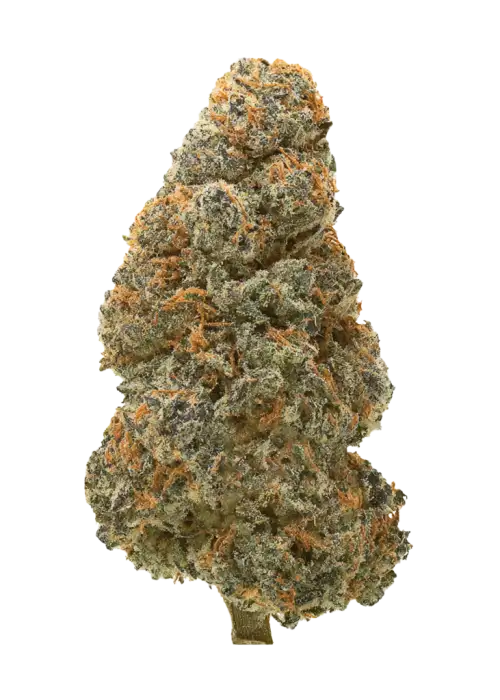 Cookies Auto