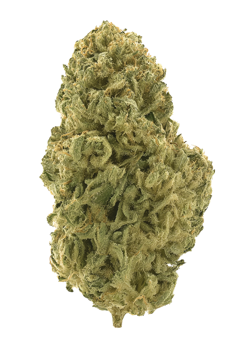 Chocolate Mint OG