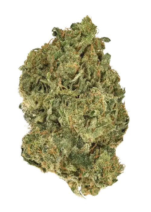 Tangie'matic