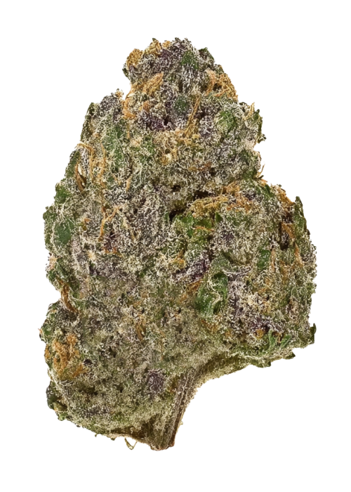 Purple Kush Auto