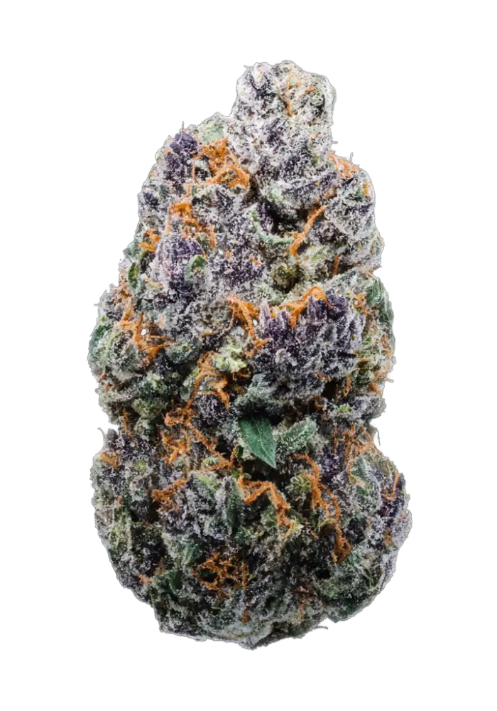 Cherry Gar-See-Ya R1