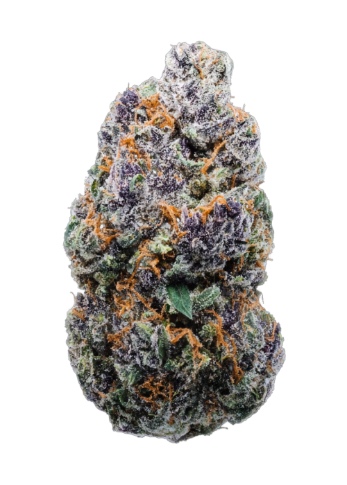 Cherry Gar-See-Ya R1