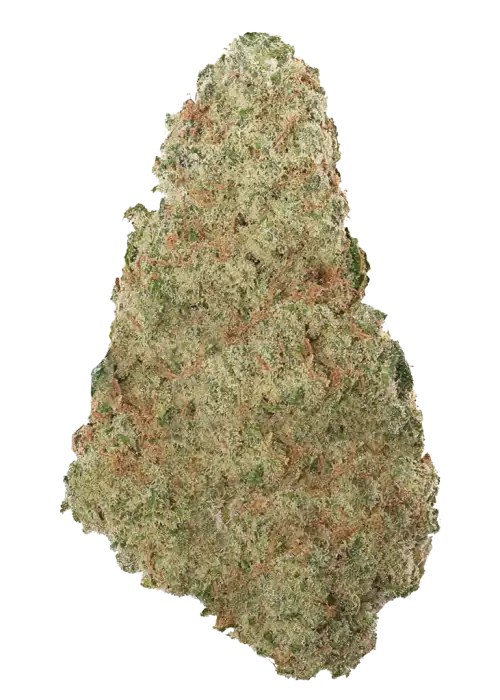 End Game RBX EC #4 Line