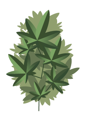 Fast Buds Auto #1