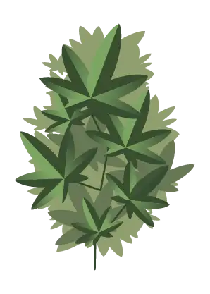 Fast Buds Auto #1