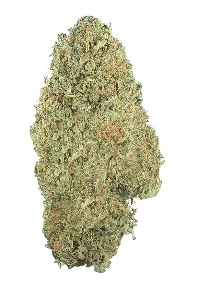 6224-original-amnesia-haze-