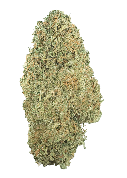 Original Amnesia Haze Auto