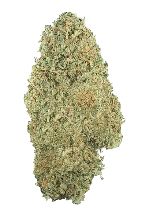 Original Amnesia Haze Auto