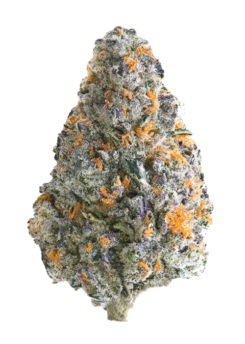 Original Blueberry Auto