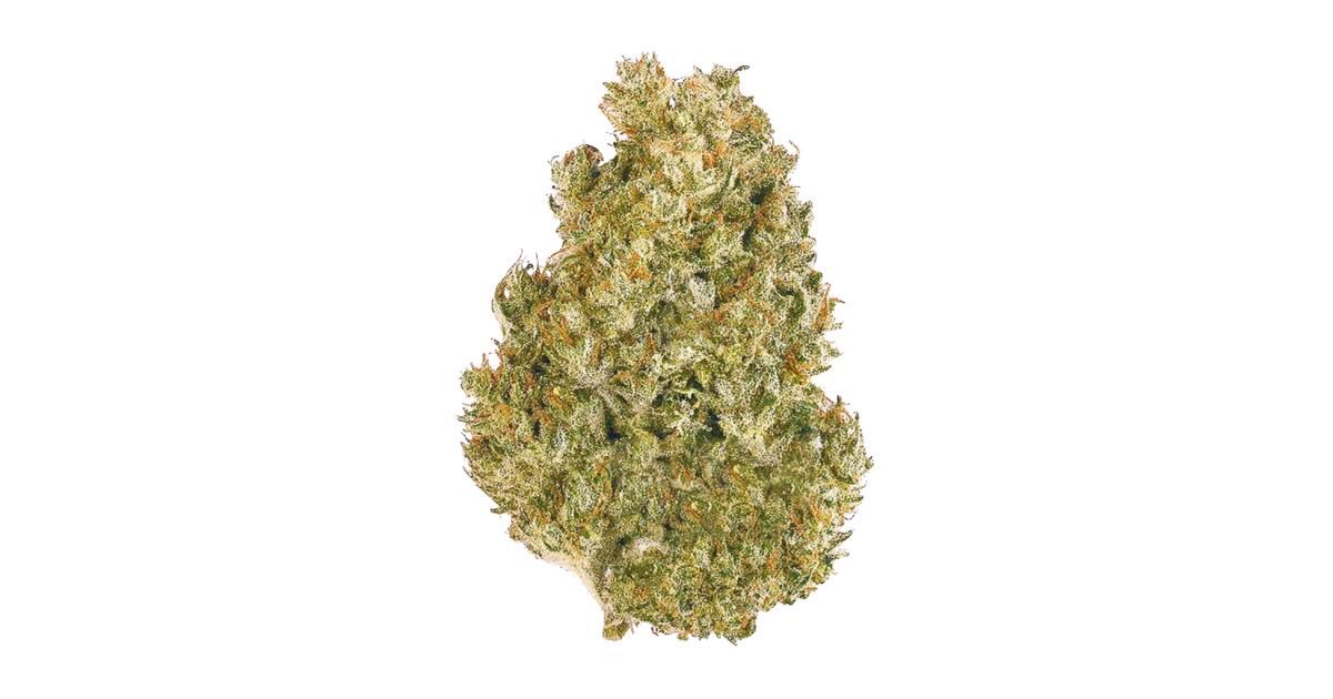 Original AK Auto Cannabis Strain Information - GrowDiaries