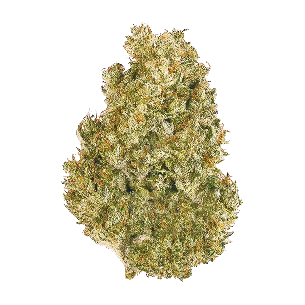 Original AK Auto Cannabis Strain Information - GrowDiaries