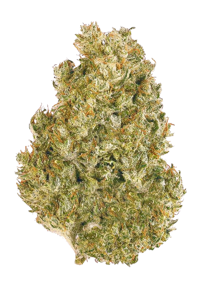 2498-original-ak-auto_1000.png