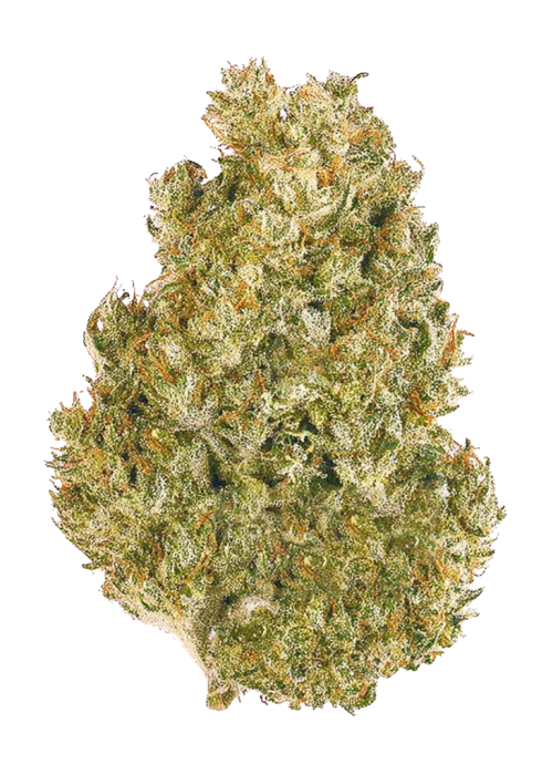 Original AK Auto