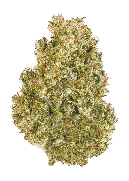 Original AK Auto