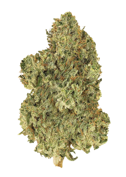 Original Jack Herer Auto