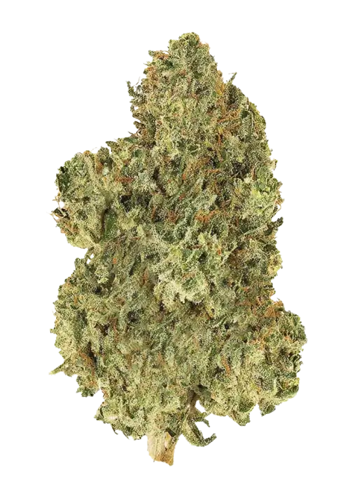 Original Jack Herer Auto