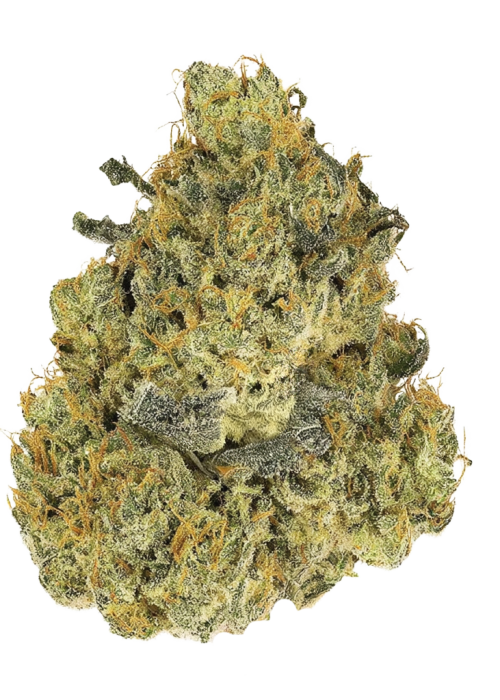 Fast Bud Auto
