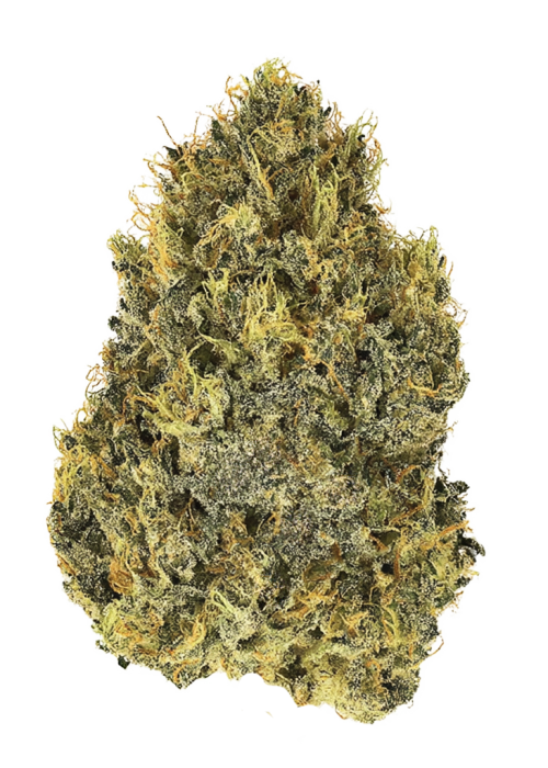Original Cinderella Auto