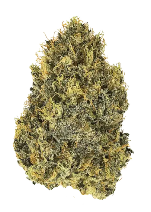 Original Cinderella Auto