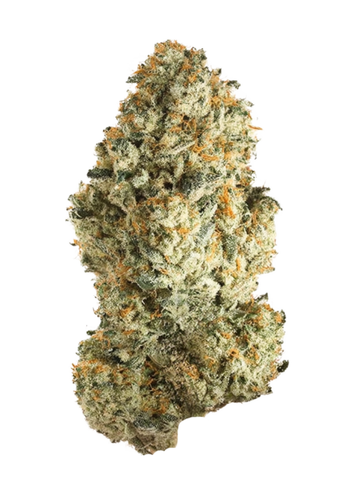 Original Bubblegum Auto