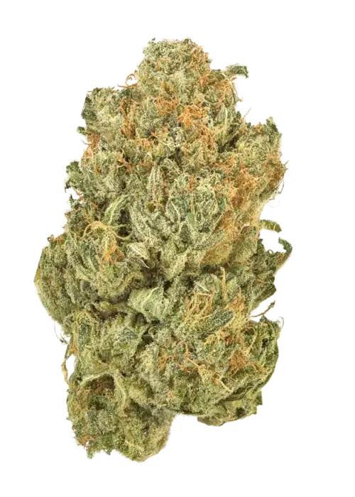 Original OG Kush Auto