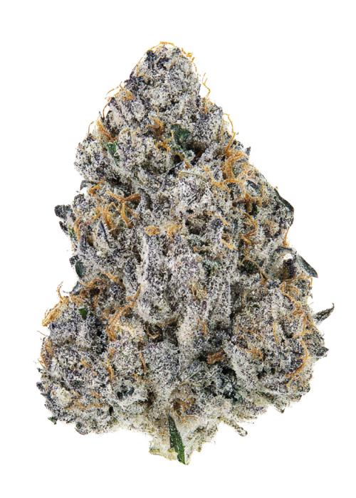 Original Big Bud Auto