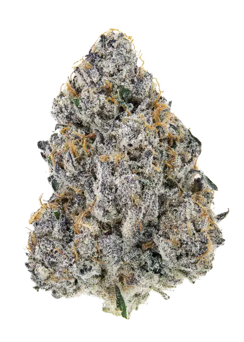 Original Big Bud Auto