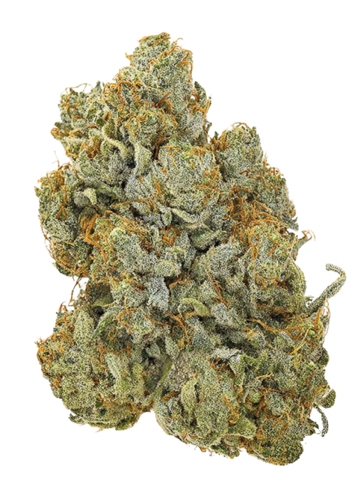 Original Cheese Auto