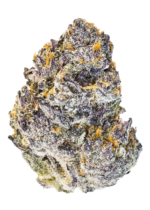 Original Afghan Kush Auto